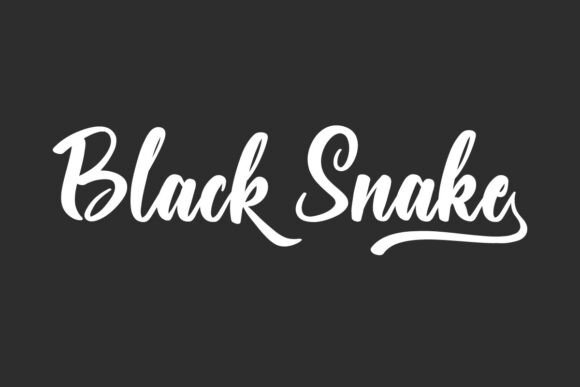 Black Snake: A Versatile Script Font for Creative Crafters