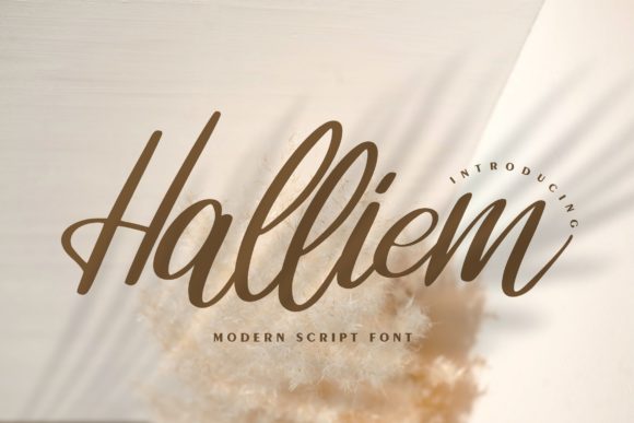 Halliem Script Font Review