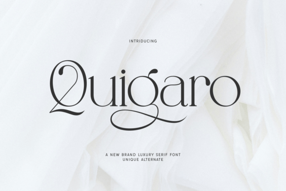 Quigaro: A Serif Font That Elevates Digital Branding